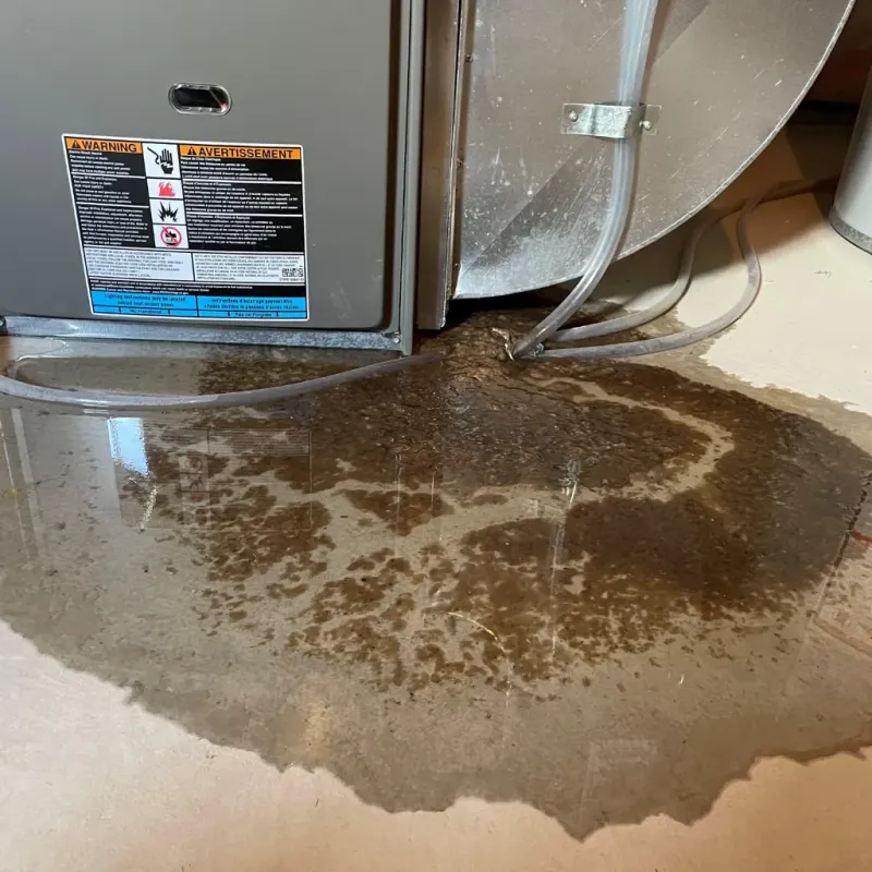 Appliance Leak Cleanup in Niverville, NY